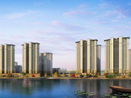 ��ϵ����